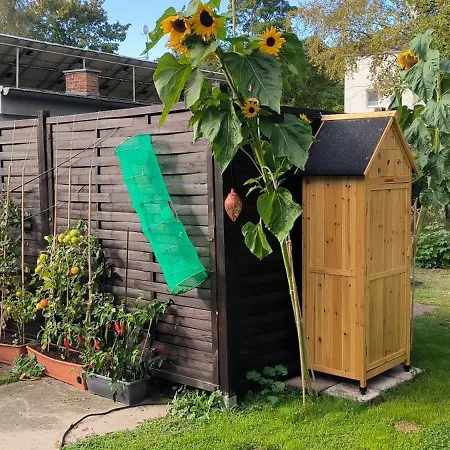 Strandparadies 11 Apartmán Juliusruh